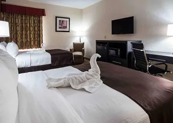 Best Western Mulberry Hotel hotel thumbnail 5