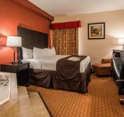 Best Western Mulberry Hotel hotel detail image 7