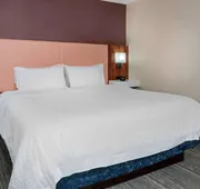 Hampton Inn Springfield South Enfield hotel detail image 7