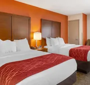 Comfort Inn Greensboro - Kernersville hotel detail image 4