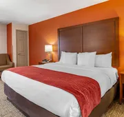 Comfort Inn Greensboro - Kernersville hotel detail image 7