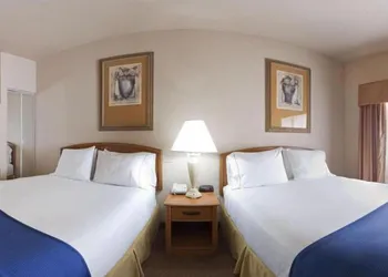Holiday Inn Express Hotel & Suites Mission-McAllen Area by IHG hotel thumbnail 4