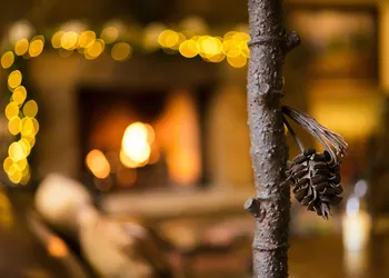 Tivoli Lodge hotel thumbnail 4