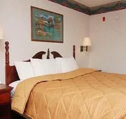 Quality Inn Edmund Pettus Bridge Area hotel detail image 5