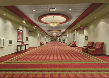 Embassy Suites by Hilton Nashville SE Murfreesboro hotel thumbnail 5