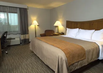 Comfort Inn South - Springfield hotel thumbnail 5