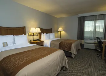 Comfort Inn South - Springfield hotel thumbnail 6