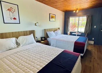 The Sierra Motel hotel thumbnail 7
