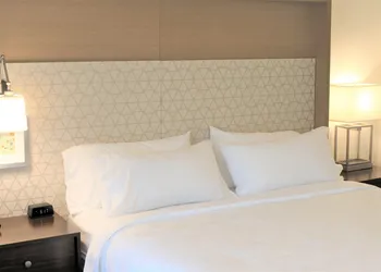 Holiday Inn & Suites St. Cloud by IHG hotel thumbnail 7