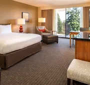 DoubleTree by Hilton Seattle Airport hotel detail image 5