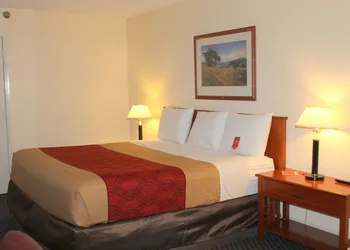 Knights Inn College Station hotel thumbnail 6