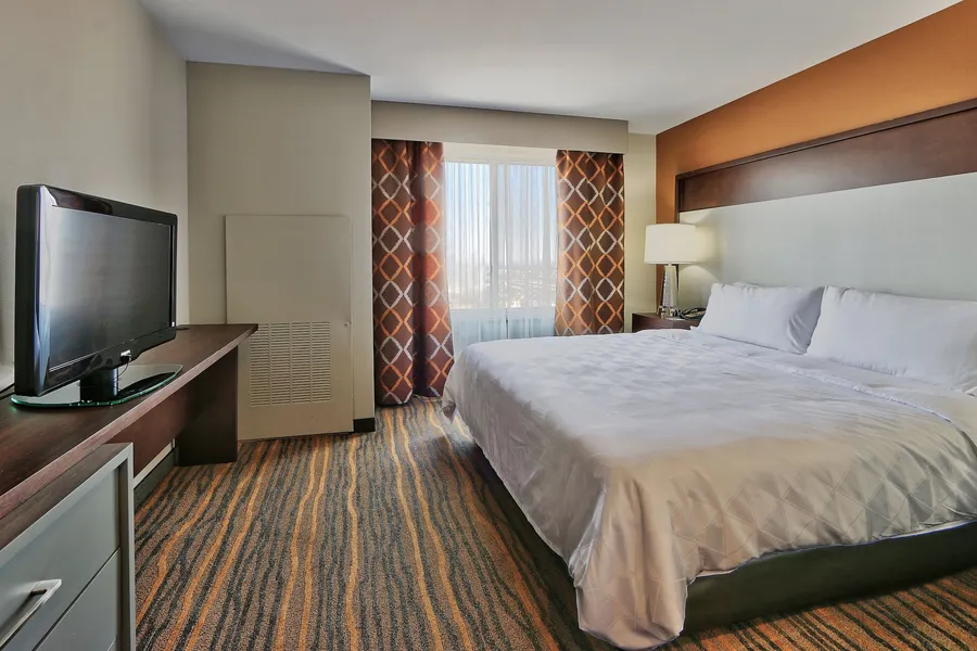 Holiday Inn & Suites Albuquerque-North I-25 by IHG hotel detail image 6
