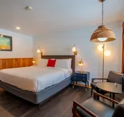 The Town House Lodge hotel detail image 7