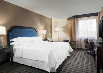 Sheraton Charlotte Airport Hotel hotel thumbnail 5