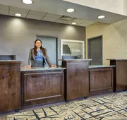 Hampton Inn Norfolk-Naval Base hotel detail image 5