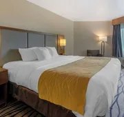 Comfort Inn & Suites Market - Airport hotel detail image 3