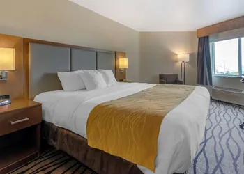 Comfort Inn & Suites Market - Airport hotel thumbnail 3