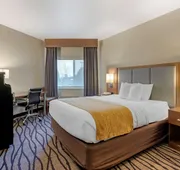 Comfort Inn & Suites Market - Airport hotel detail image 5