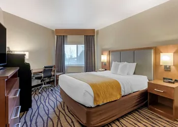 Comfort Inn & Suites Market - Airport hotel thumbnail 5