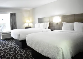 Quality Inn Manning I-95 hotel thumbnail 7