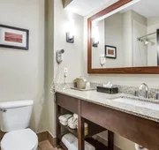 Comfort Inn & Suites Love Field - Dallas Market Center hotel detail image 7