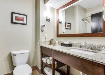 Comfort Inn & Suites Love Field - Dallas Market Center hotel thumbnail 7