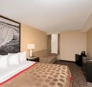 Ramada by Wyndham Niagara Falls Near the Falls hotel detail image 5