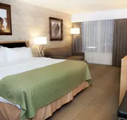 Holiday Inn Spearfish - Convention Center by IHG hotel detail image 3