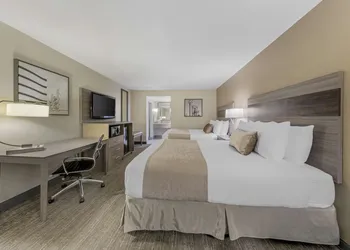 Best Western Plus Executive Inn hotel thumbnail 5
