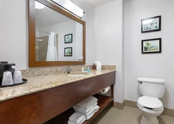 Comfort Suites DFW North/Grapevine hotel thumbnail 6