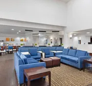 Comfort Suites DFW North/Grapevine hotel detail image 3