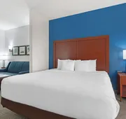 Comfort Suites DFW North/Grapevine hotel detail image 4