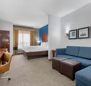 Comfort Suites DFW North/Grapevine hotel detail image 7