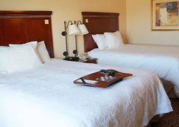Hampton Inn & Suites Kingman hotel thumbnail 7
