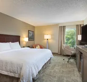 Hampton Inn Houston-Near The Galleria hotel detail image 3