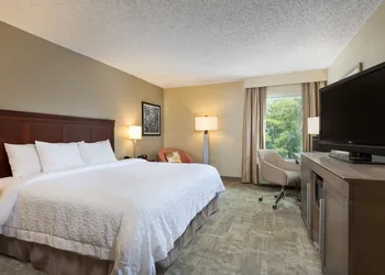 Hampton Inn Houston-Near The Galleria hotel thumbnail 3