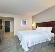 Hampton Inn Houston-Near The Galleria hotel detail image 4