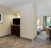 Hampton Inn Houston-Near The Galleria hotel detail image 7