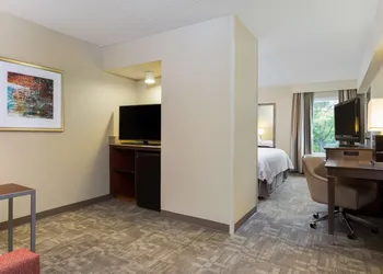 Hampton Inn Houston-Near The Galleria hotel thumbnail 7