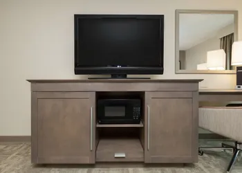 Hampton Inn Houston-Near The Galleria hotel thumbnail 8