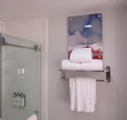 Holiday Inn Express Hotel & Suites Houston-Downtown Conv Ctr by IHG hotel detail image 7
