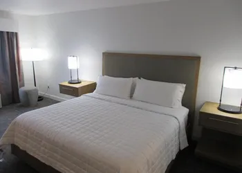 Holiday Inn Express Hotel & Suites Houston-Downtown Conv Ctr by IHG hotel thumbnail 5