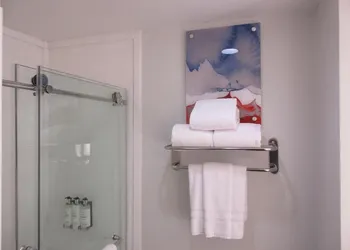 Holiday Inn Express Hotel & Suites Houston-Downtown Conv Ctr by IHG hotel thumbnail 7