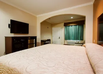 Palace Inn Copperfield hotel thumbnail 3