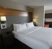 Holiday Inn & Suites Chicago North Shore (Skokie) by IHG hotel detail image 4