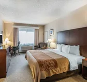 Comfort Inn & Suites Seattle North hotel detail image 4