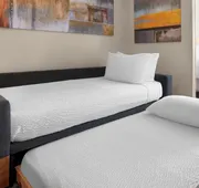 SpringHill Suites by Marriott Austin Round Rock hotel detail image 5