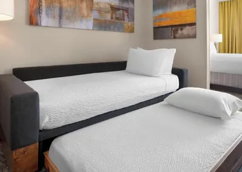 SpringHill Suites by Marriott Austin Round Rock hotel thumbnail 5