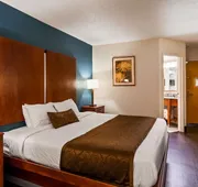 Best Western Plus Richmond Airport Hotel hotel detail image 3