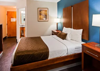 Best Western Plus Richmond Airport Hotel hotel thumbnail 7